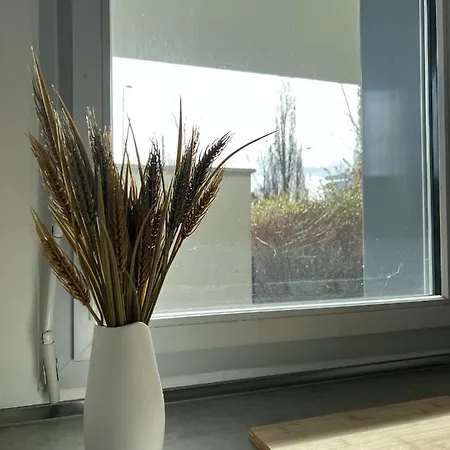 Apartmán Le Quinze Sols - 5p - Proche Aeroport & Airbus Blagnac